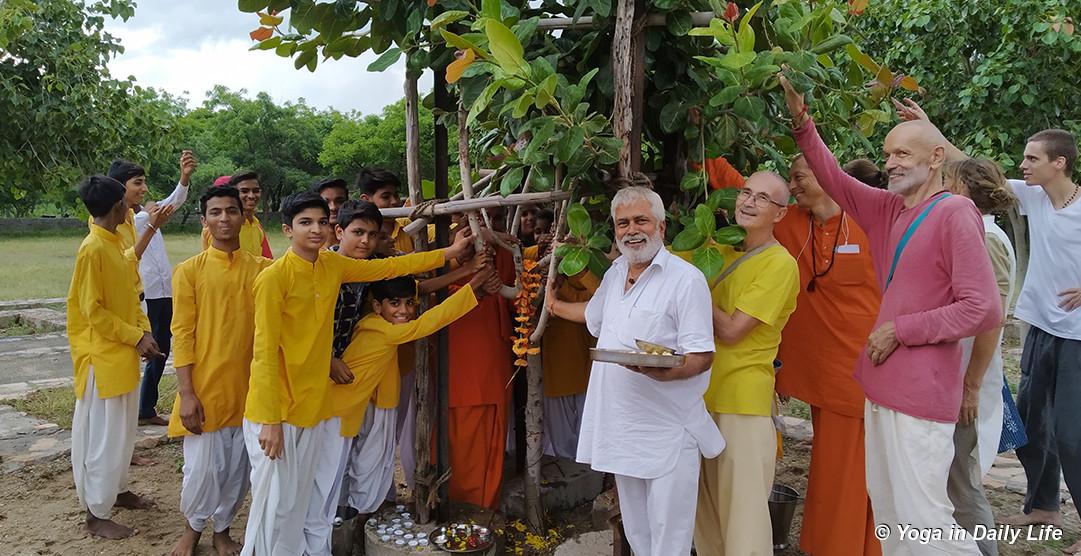 ﻿International Peace Day celebrated by Yoga in Daily Life around the world